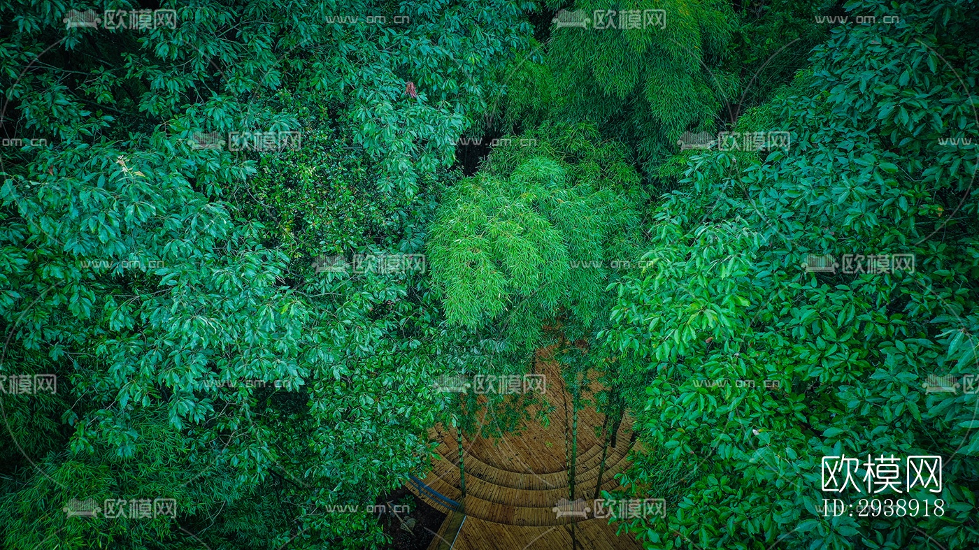 中式酒店民宿效果图下载（渲染图5）