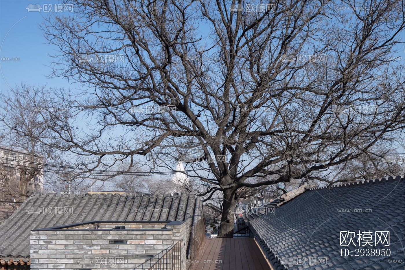 中式酒店民宿效果图下载（渲染图7）