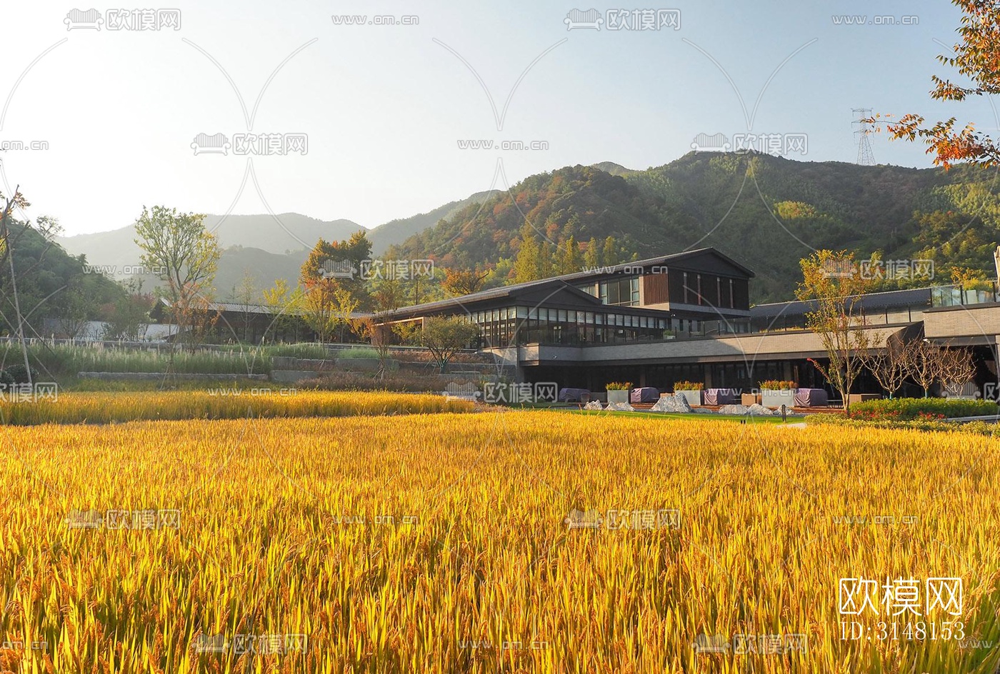 现代酒店民宿效果图下载（渲染图4）