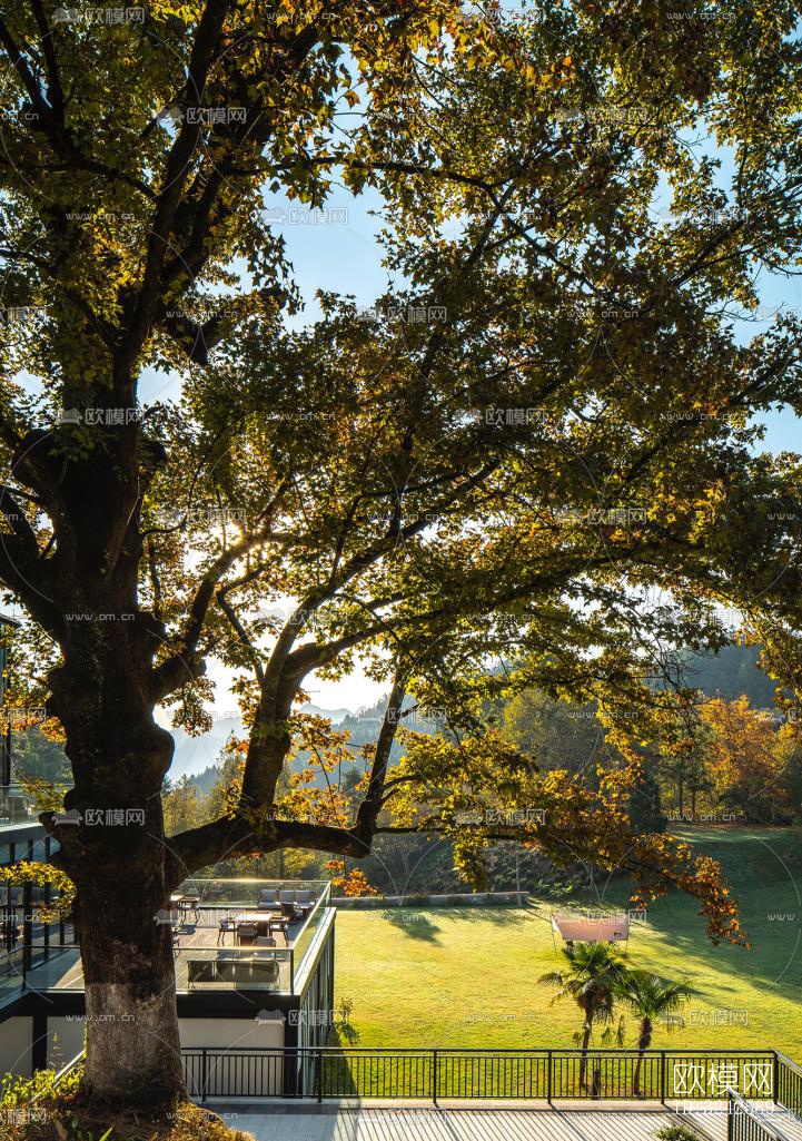 新中式中餐厅效果图下载（渲染图7）