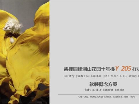  碧桂園桂瀾山花園十號(hào)樓Y 205 樣板房軟裝概念方案 