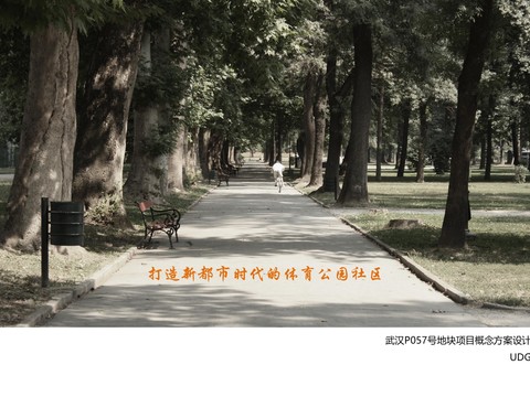  武汉P057号地块项目概念方案设计 