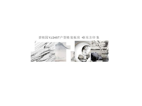  碧桂园装板房 ·新东方印象设计方案 