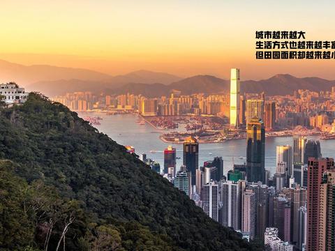  大邑稻香渔歌林盘民宿景观方案文本 