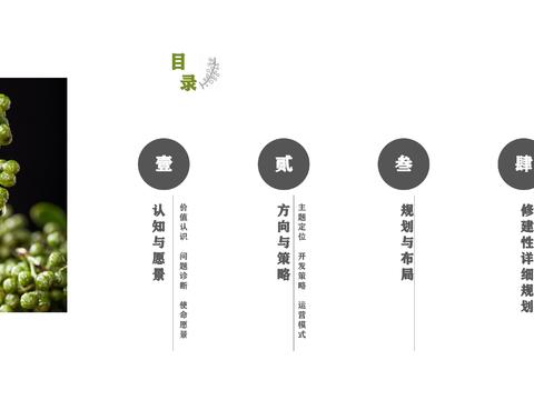  藤椒产业园起步区策划及修建性详细规划方案 