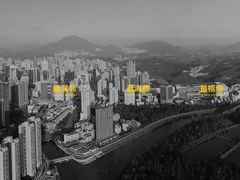  深圳火车站与罗湖口岸交通枢纽片区城市设计国际咨询 