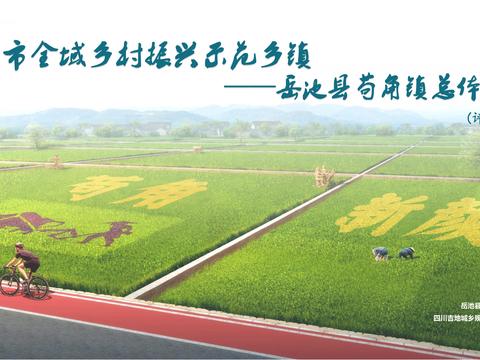  广安市苟角镇全域乡村振兴示范乡镇规划方案 