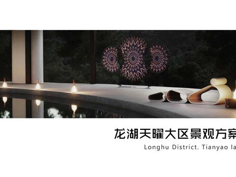  龙湖顶级住宅景观方案文本 