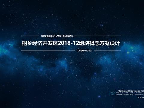  桐乡高压线地块投标项目2 