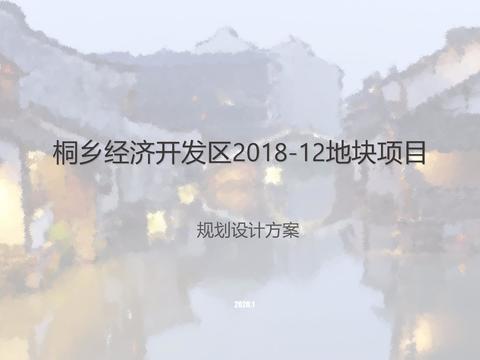  桐乡高压线地块投标项目1 