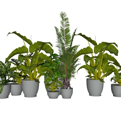 盆栽su模型下载-sketchup模型库-3dmax模型免费下载-欧模网