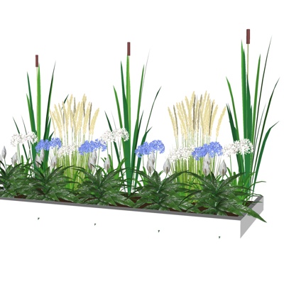  现代小麦su模型 