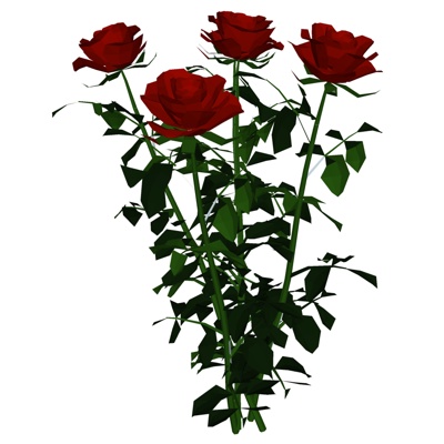  现代玫瑰花su模型 