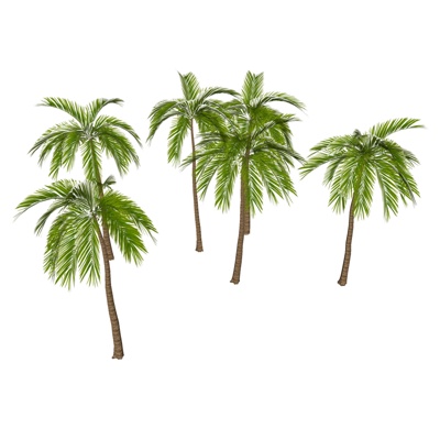  现代椰子树su模型 