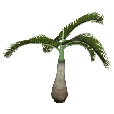  现代椰子树su模型 