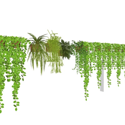  现代绿植藤蔓su模型 