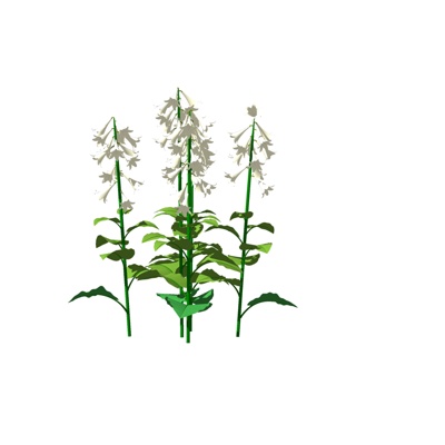  现代花草植物su模型 