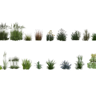  现代花草植物su模型 