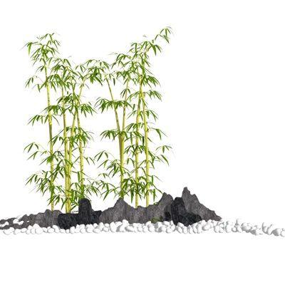  现代竹子su模型 
