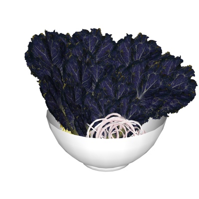  现代蔬菜su模型 