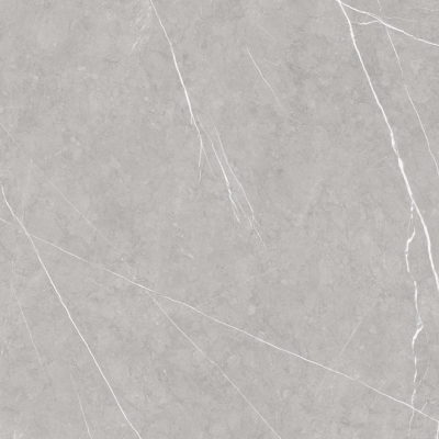  特地陶瓷凯撒灰 