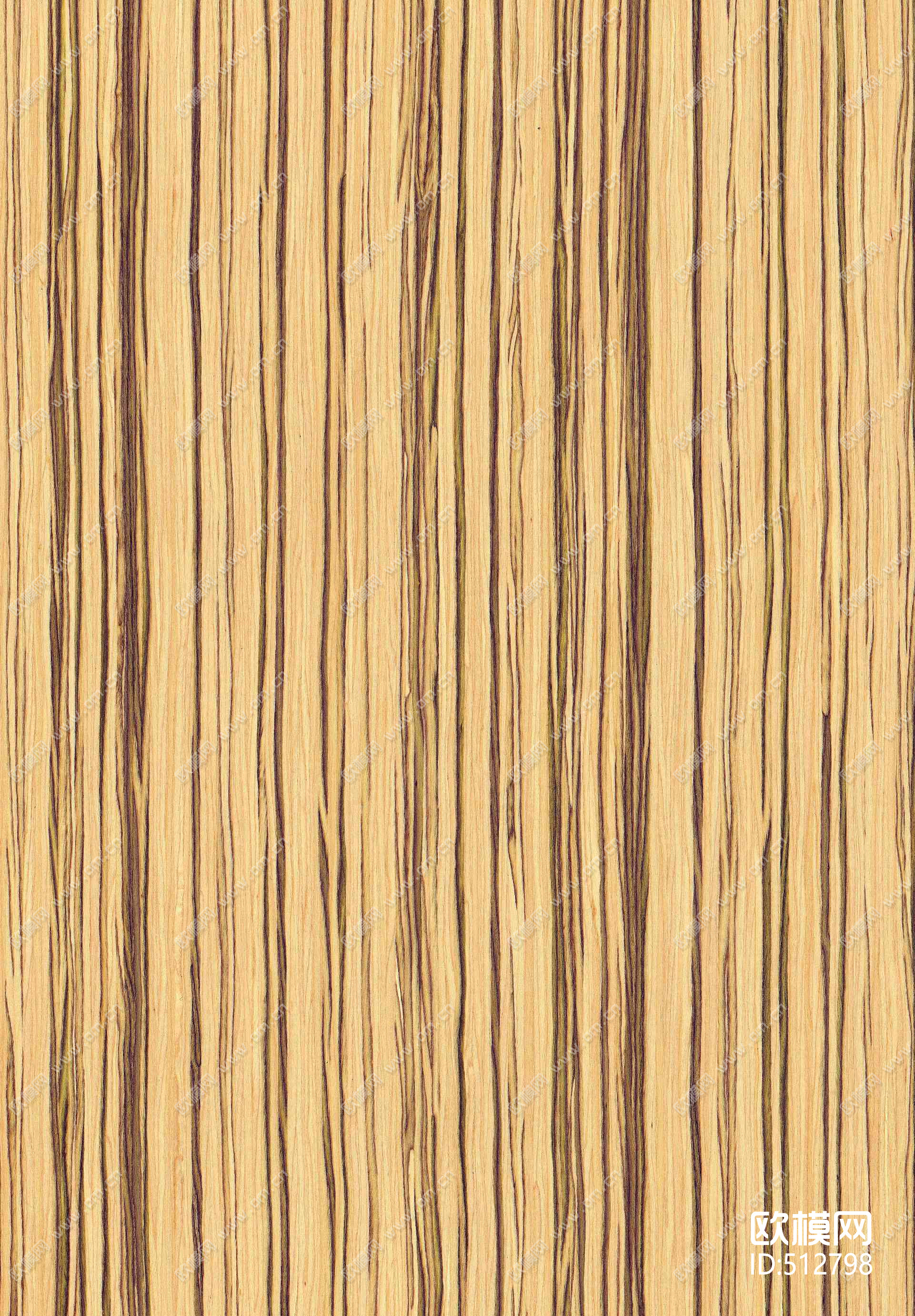 斑马木
