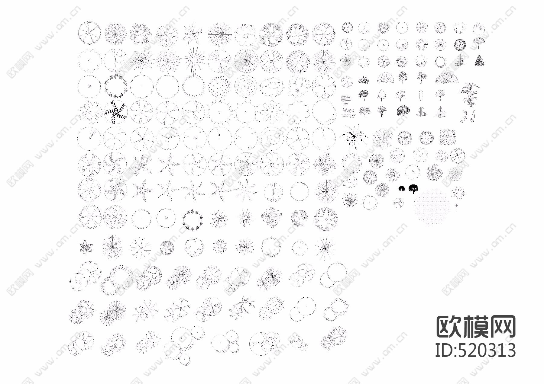 园林植物图例下载