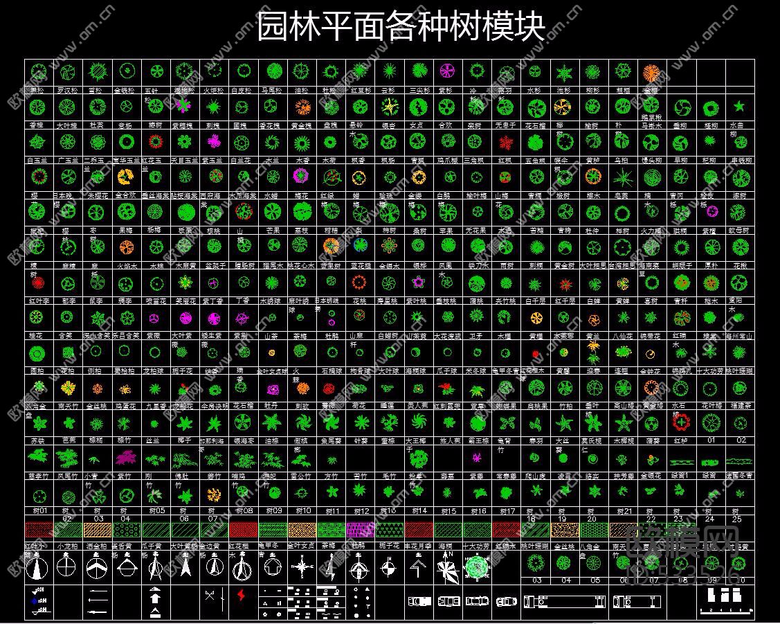园林平面各种树模块下载