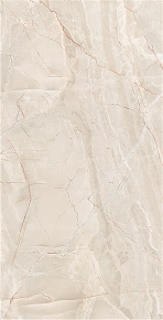  金意陶瓷砖之金芙丝 