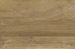  ICC瓷砖之蓝山瓷木 