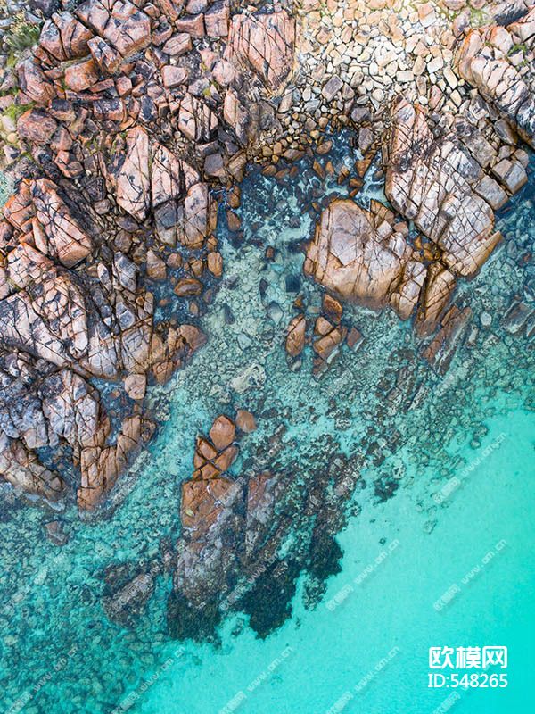 风景