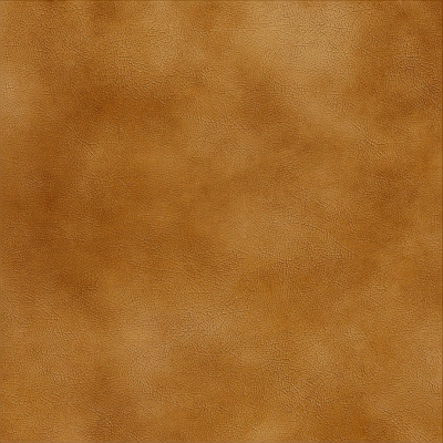  皮纹 