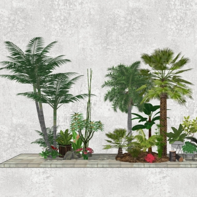  现代棕榈树椰子树盆栽组合su模型 