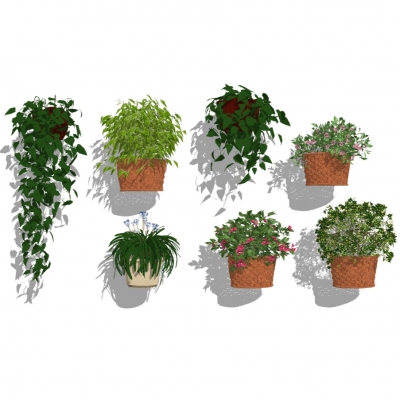  现代墙饰吊篮植物组合su模型 