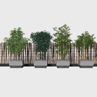  现代植物竹子盆栽su模型 