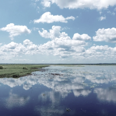  河流湿地蓝天白云 
