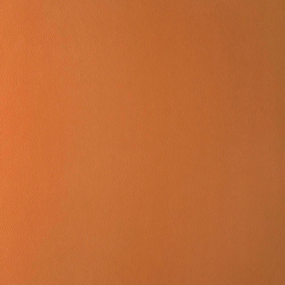  皮纹 