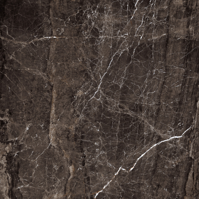  拉菲斯陶瓷VINTAGE BROWN 深色亮光 