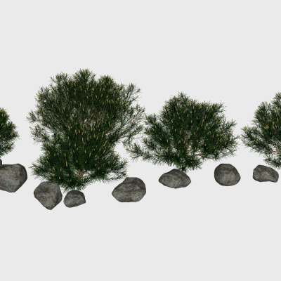  现代灌木植物su模型 