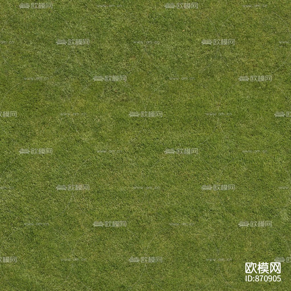 草地