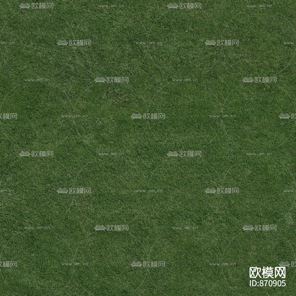 草地
