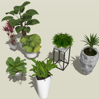  现代盆栽花钵su模型 