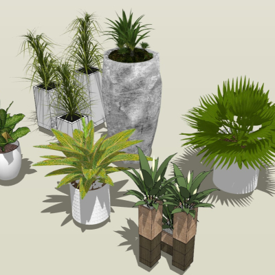  现代盆栽花钵su模型 