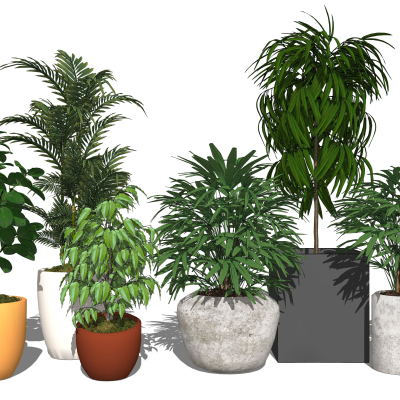 现代植物盆栽su模型
