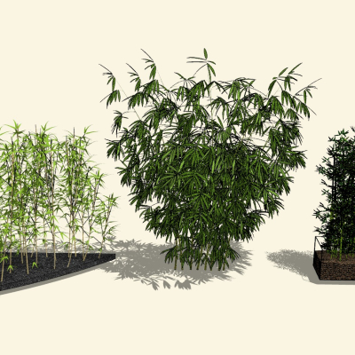  现代竹子竹林su模型 