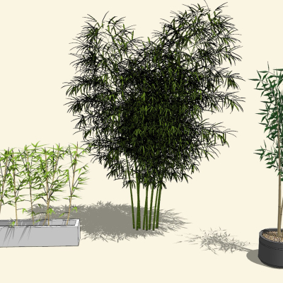  现代竹子竹堆su模型 