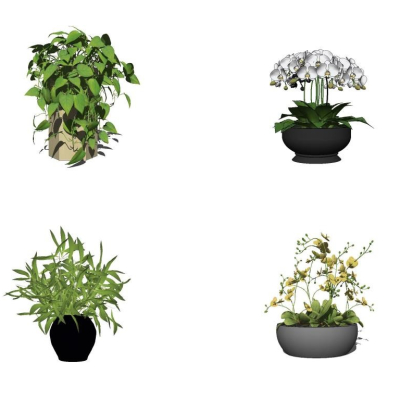  现代绿植盆栽su模型 