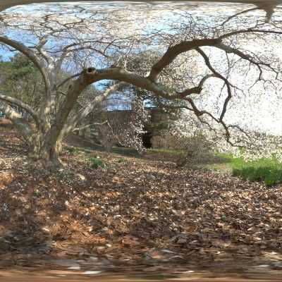  公园枯树落叶hdr外景贴图 