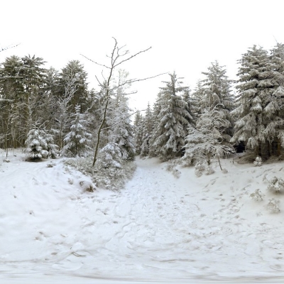  郊外森林雪景hdr外景贴图 