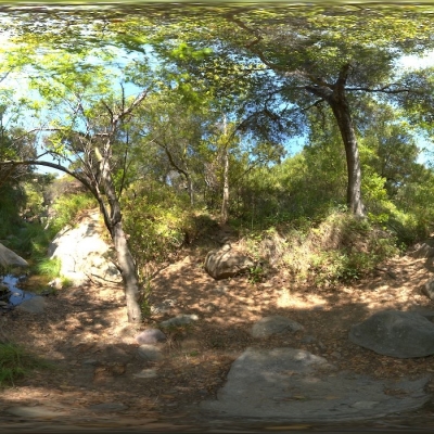  郊外野外树林hdr外景贴图 